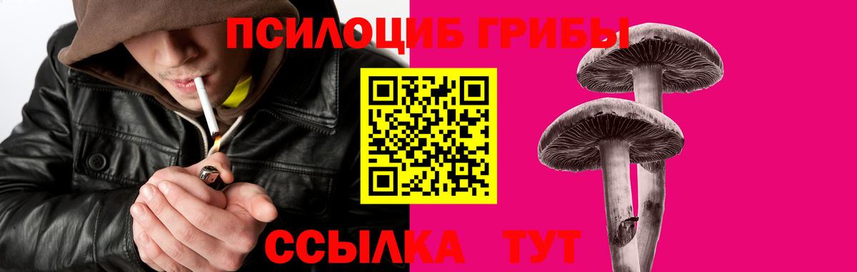 Тверь  Псилоцибиновые грибы прущие грибы  Вход с VPN 